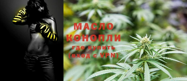 шишки Бородино