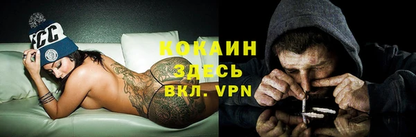шишки Бородино