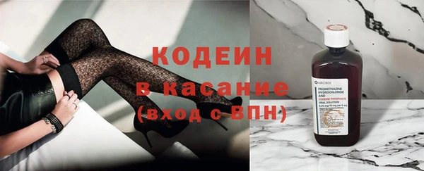 шишки Бородино