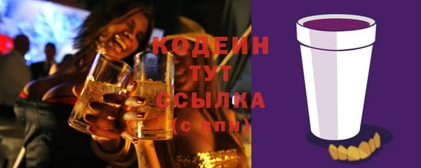 шишки Бородино
