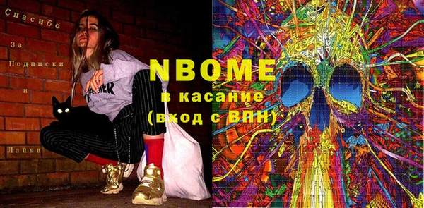 шишки Бородино