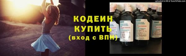 шишки Бородино