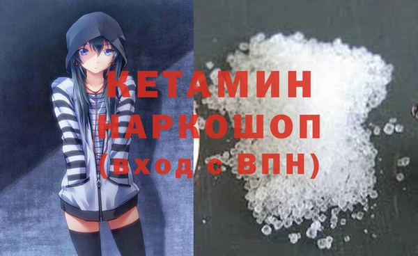 шишки Бородино
