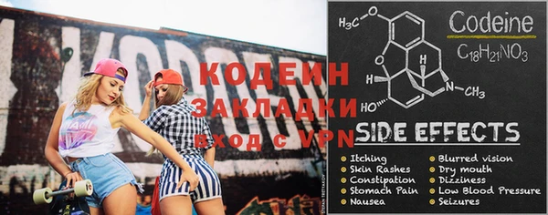 шишки Бородино