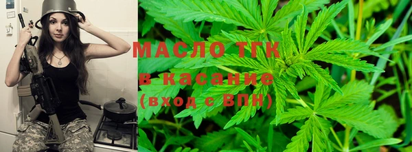шишки Бородино