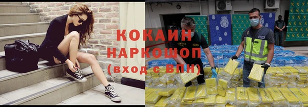 шишки Бородино