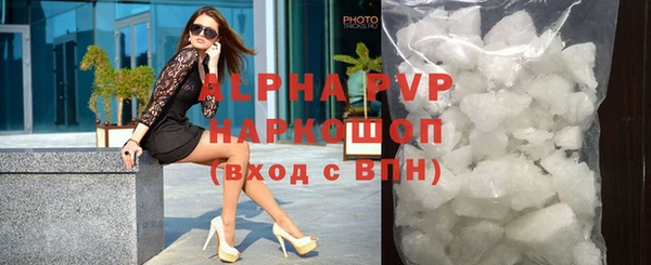 шишки Бородино