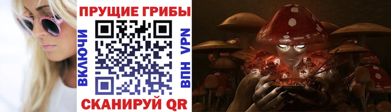кракен ссылки  Называевск  Галлюциногенные грибы Psilocybine cubensis 
